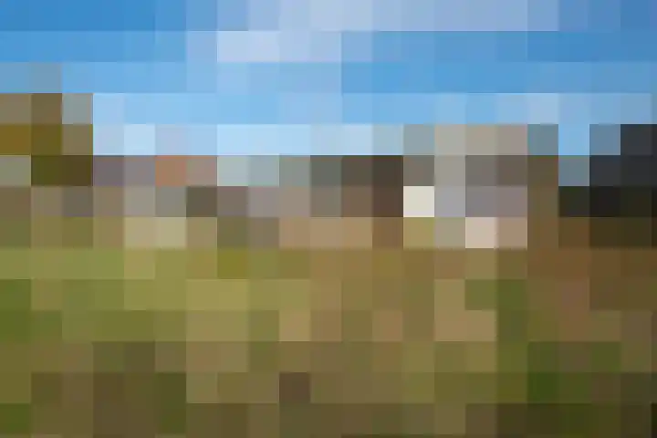Nieuwe Fluitersmaatscheweg 20 Renkum thumbnail 33