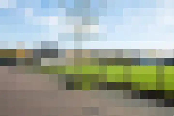 Nieuwe Fluitersmaatscheweg 20 Renkum thumbnail 37