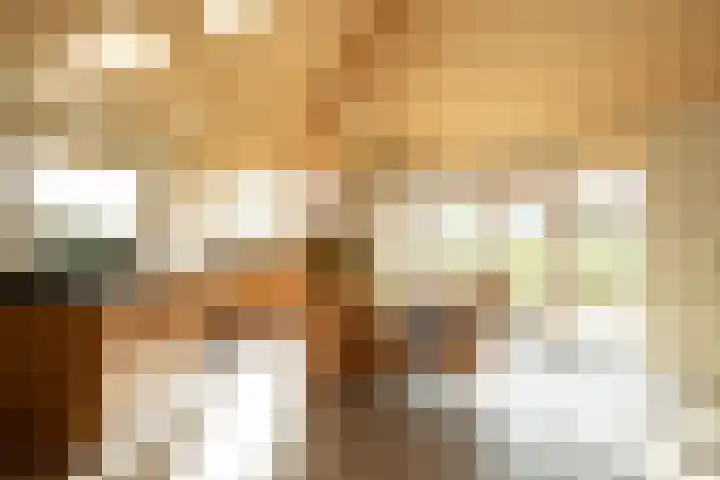 Nieuwe Fluitersmaatscheweg 20 Renkum thumbnail 4