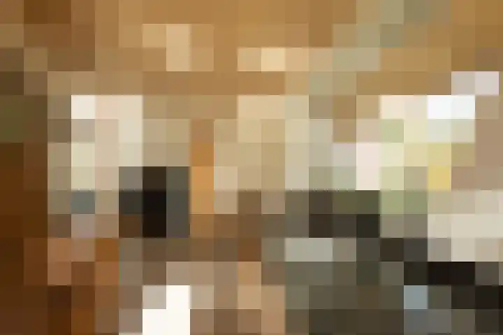 Nieuwe Fluitersmaatscheweg 20 Renkum thumbnail 8