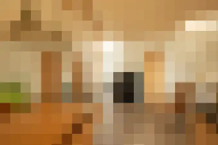 Nieuwe Fluitersmaatscheweg 20 Renkum thumbnail 9