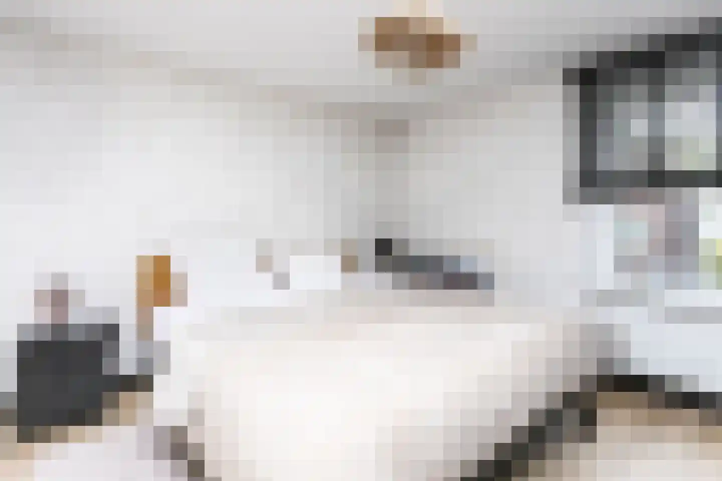 Nieuwe Gaasstraat 12 Simpelveld thumbnail 20