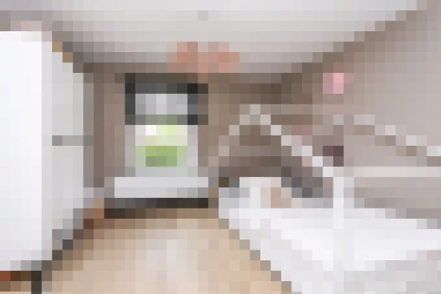 Nieuwe Gaasstraat 12 Simpelveld thumbnail 22