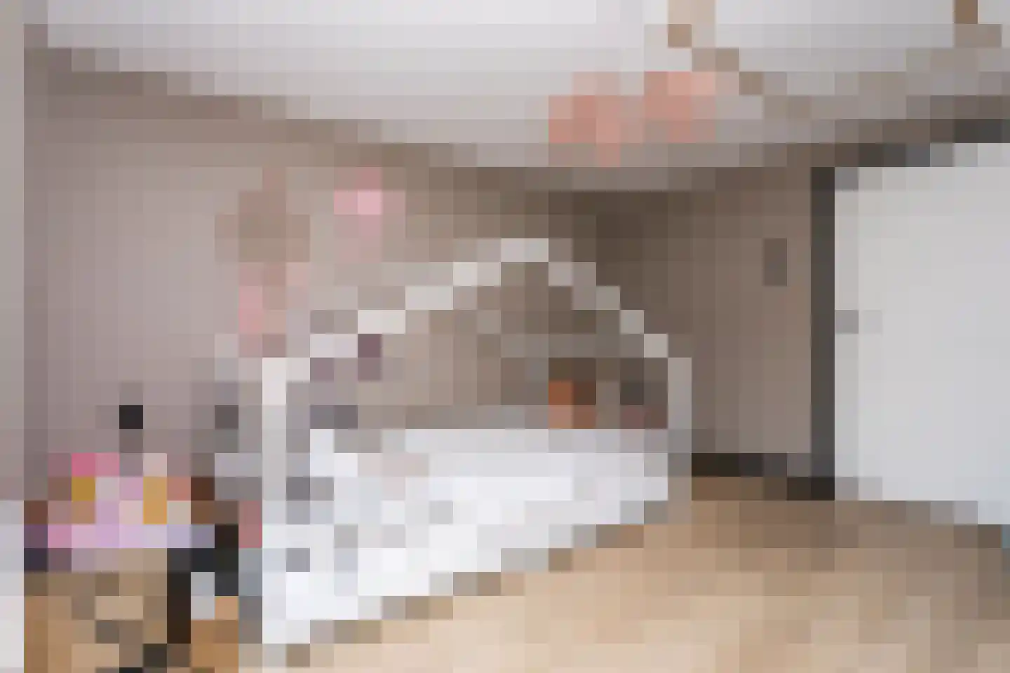 Nieuwe Gaasstraat 12 Simpelveld thumbnail 23