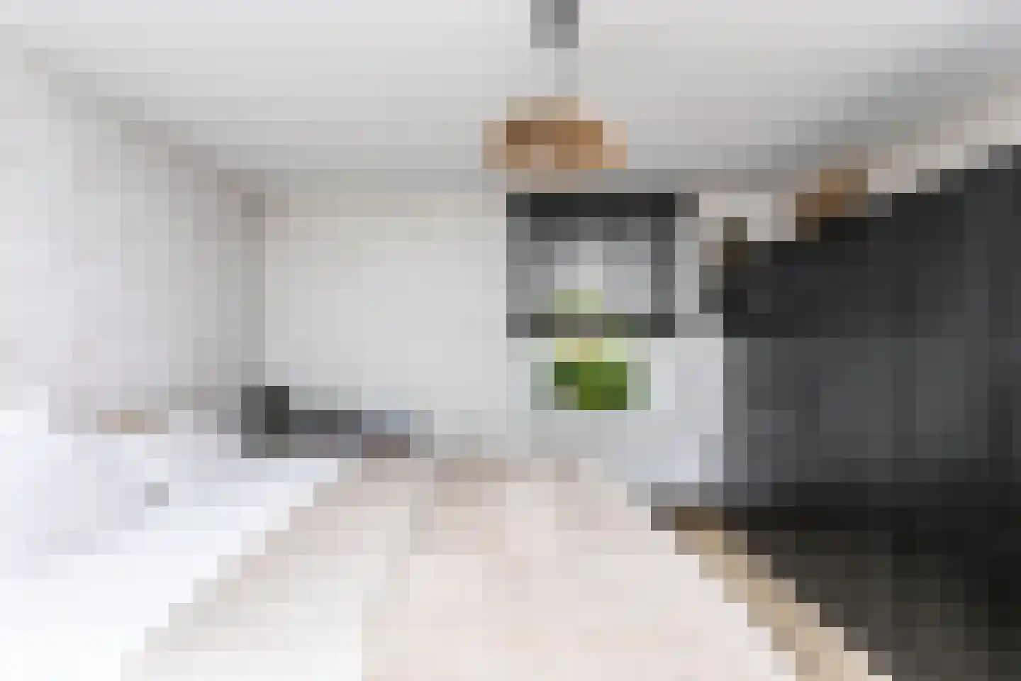 Nieuwe Gaasstraat 12 Simpelveld thumbnail 24