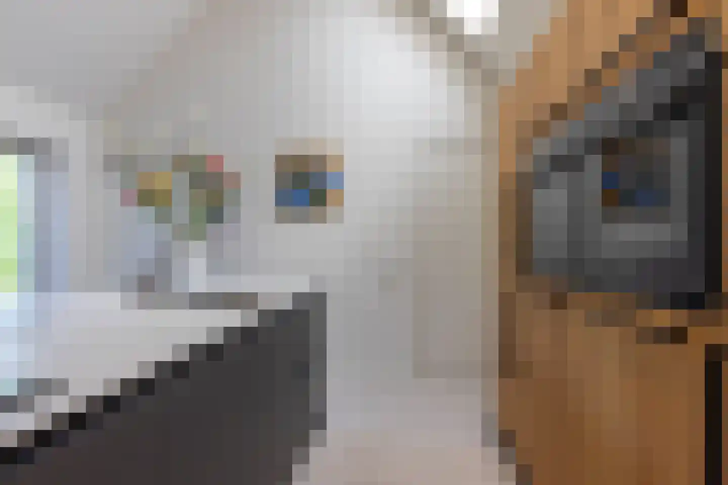 Nieuwe Gagels 35 Steenwijk thumbnail 24