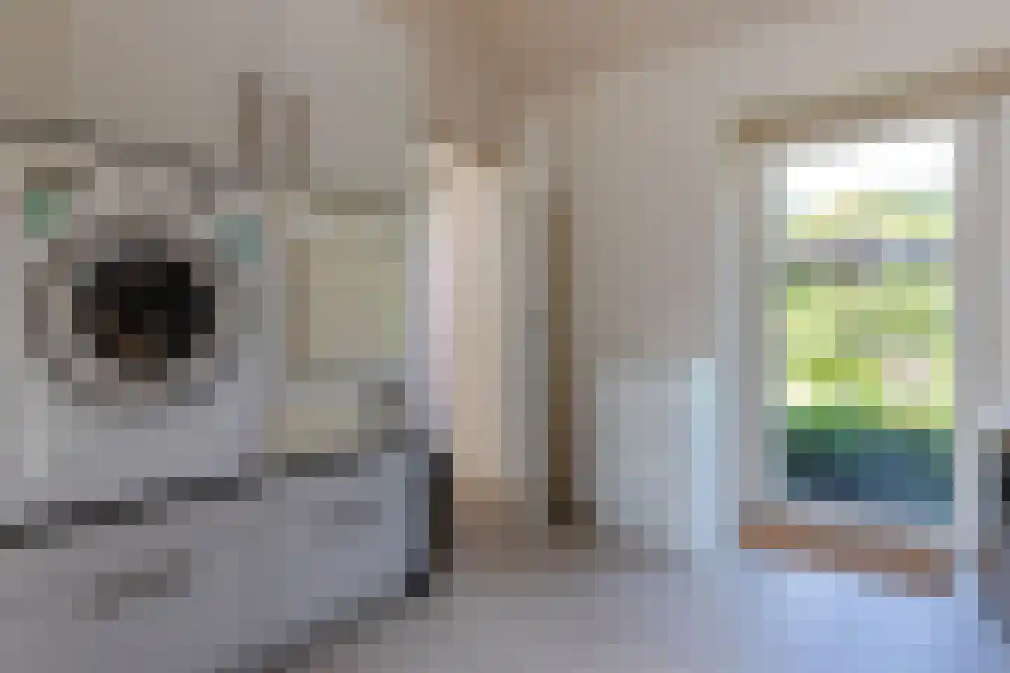 Nieuwe Gagels 35 Steenwijk thumbnail 27