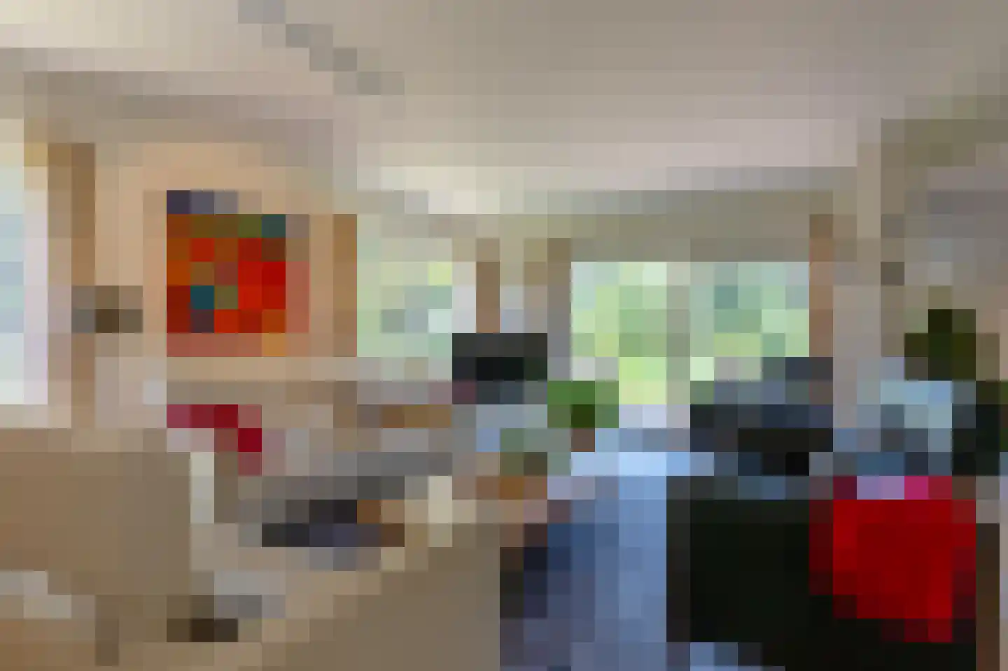 Nieuwe Gagels 35 Steenwijk foto 3