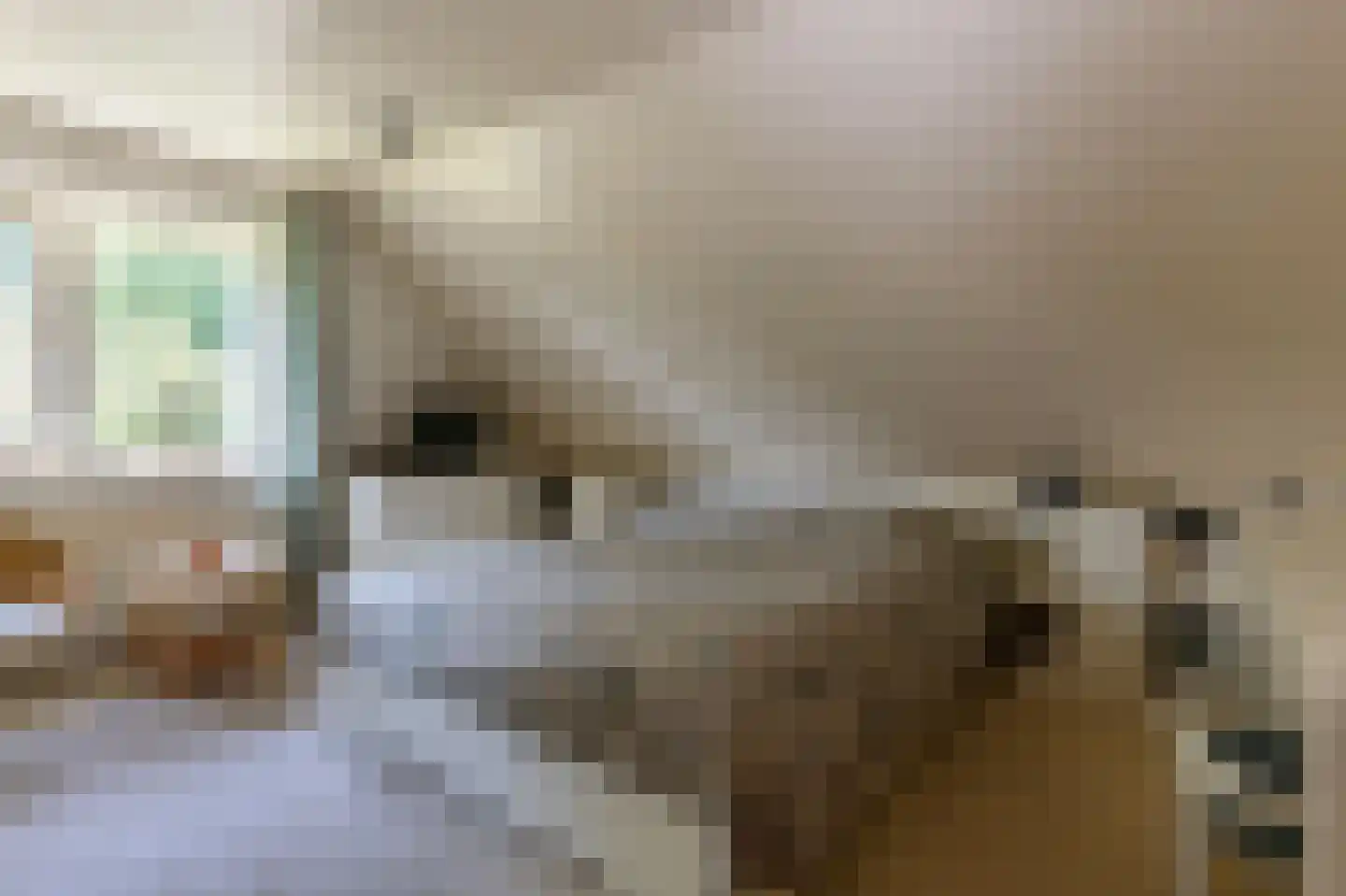 Nieuwe Gagels 35 Steenwijk thumbnail 34