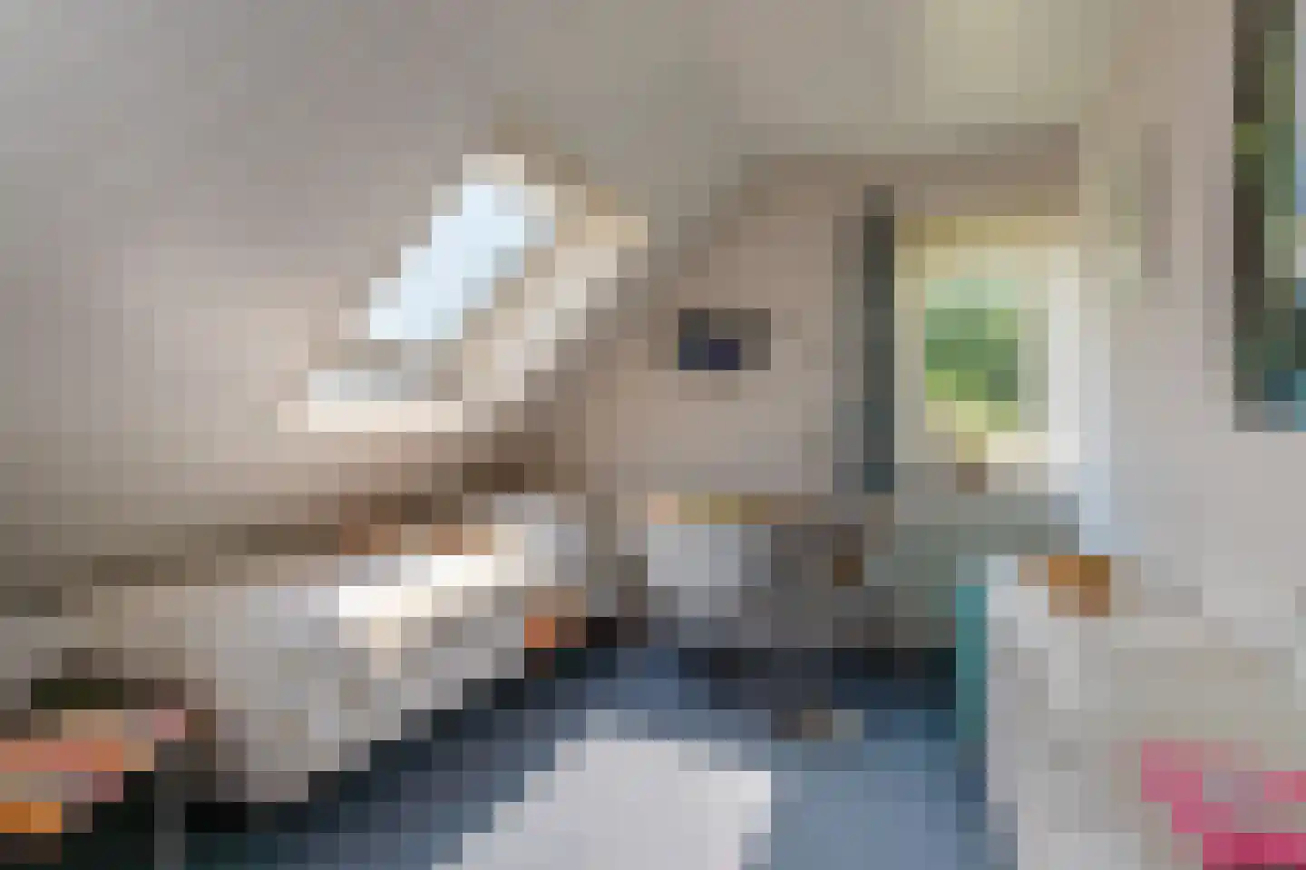 Nieuwe Gagels 35 Steenwijk thumbnail 37