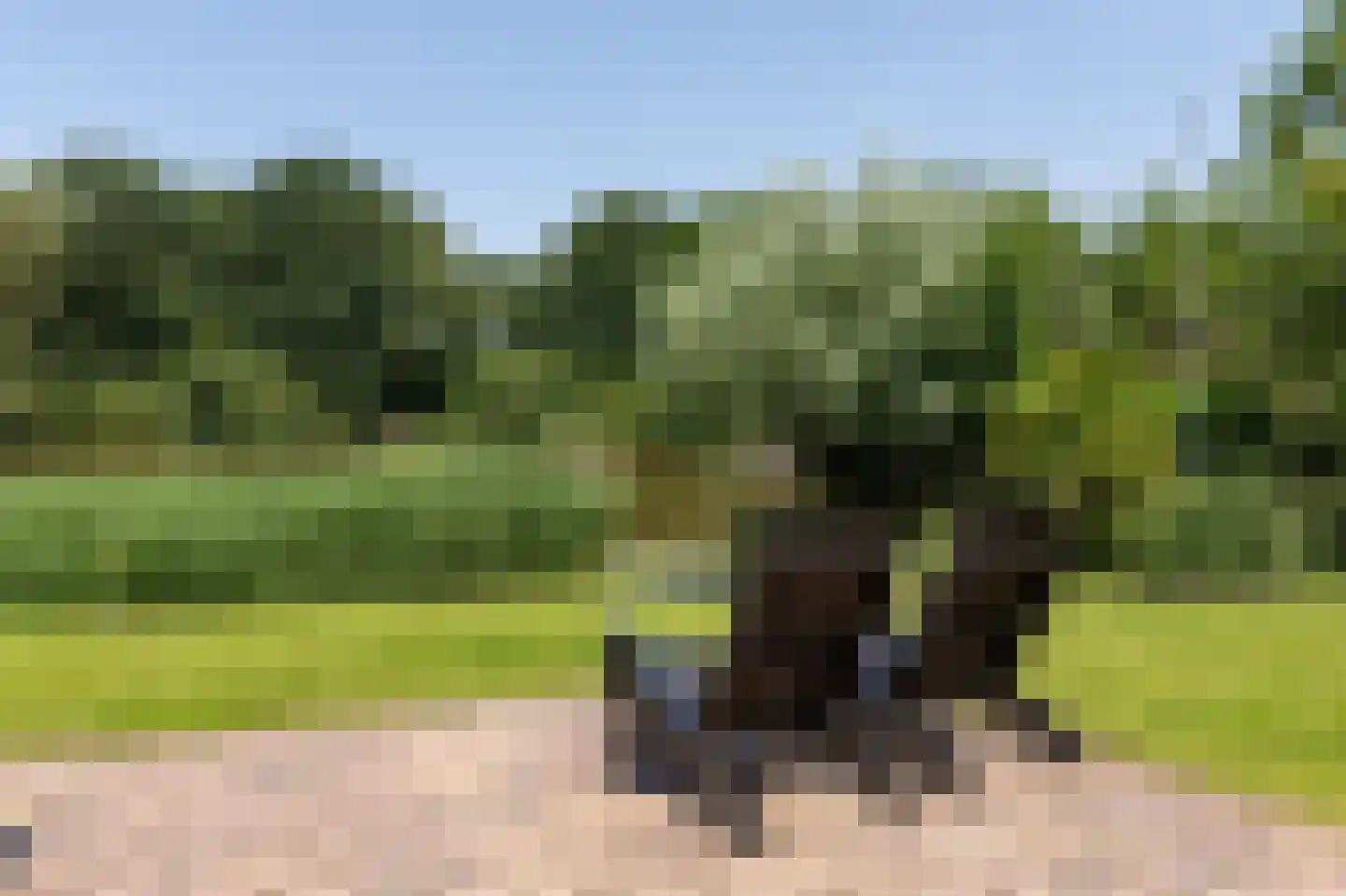 Nieuwe Gagels 35 Steenwijk thumbnail 4