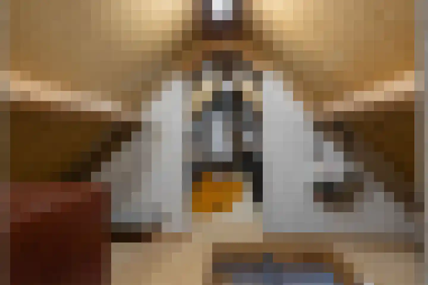 Nieuwe Gagels 35 Steenwijk thumbnail 46