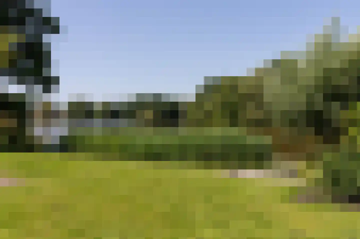 Nieuwe Gagels 35 Steenwijk thumbnail 55