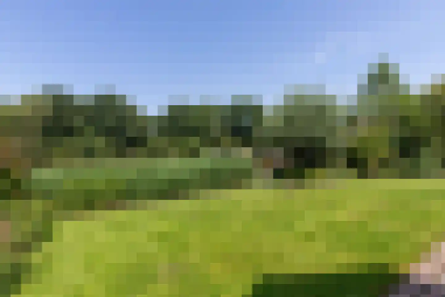 Nieuwe Gagels 35 Steenwijk thumbnail 57
