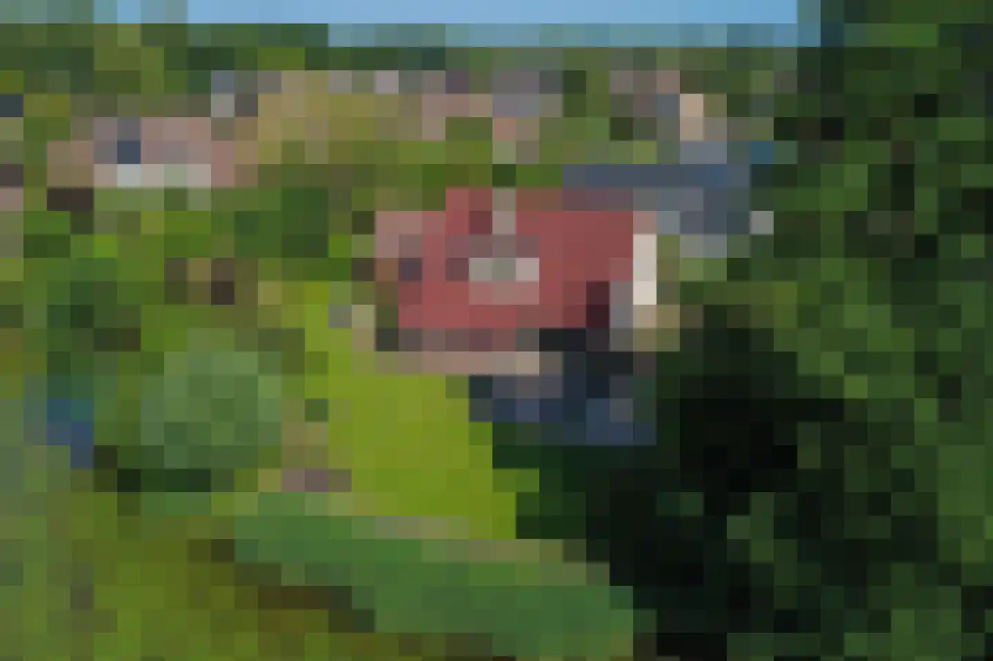 Nieuwe Gagels 35 Steenwijk thumbnail 60