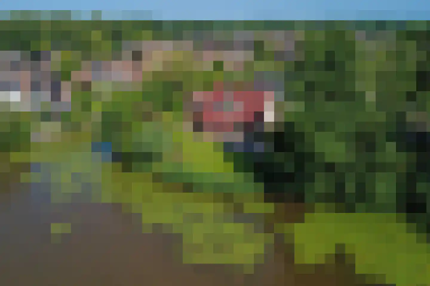 Nieuwe Gagels 35 Steenwijk thumbnail 61
