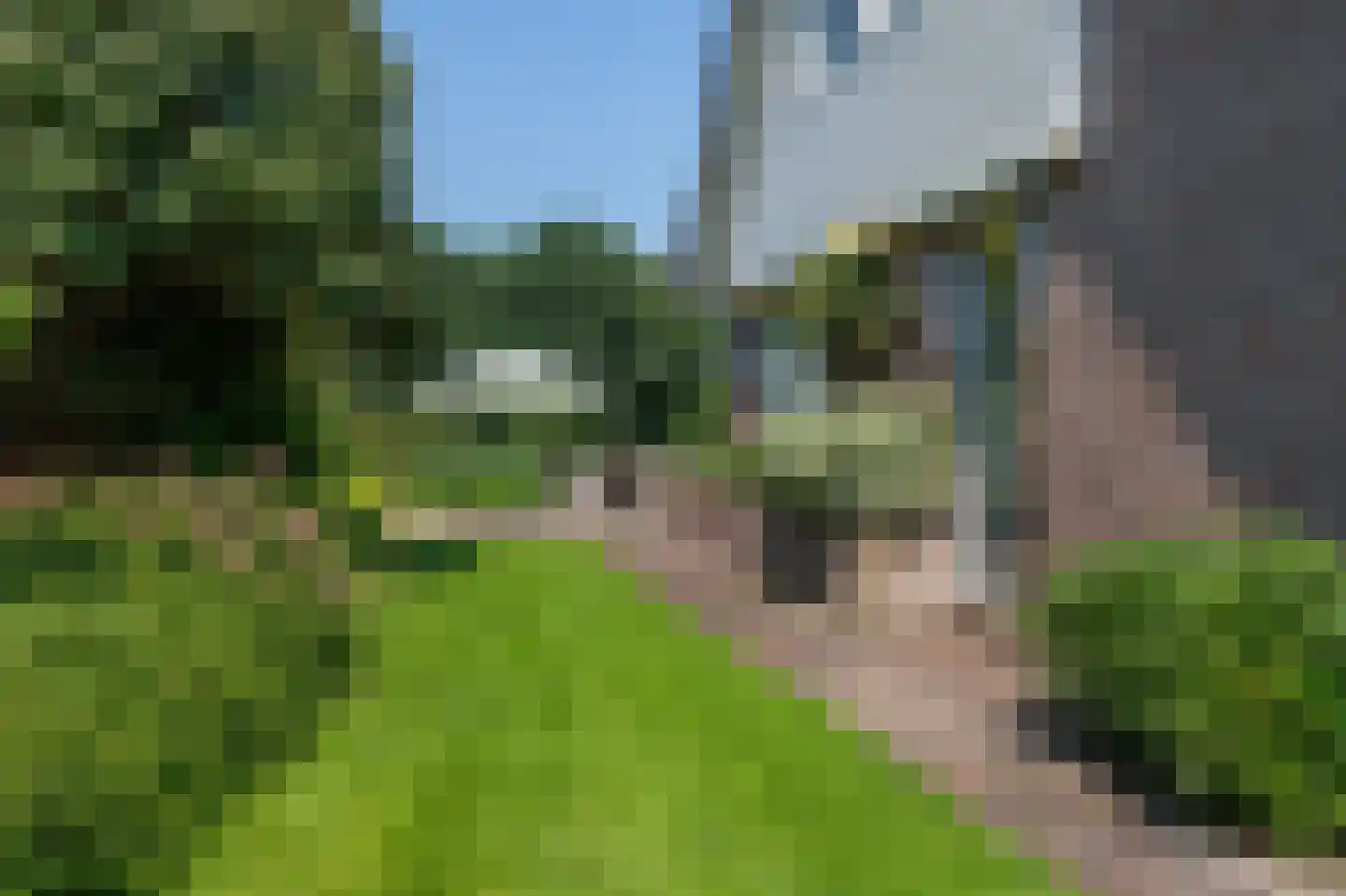 Nieuwe Gagels 35 Steenwijk thumbnail 65