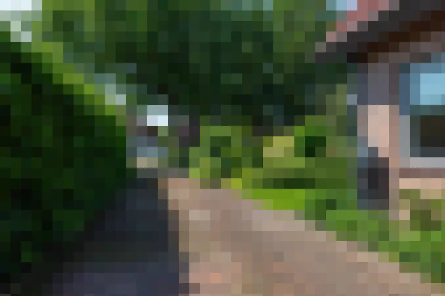 Nieuwe Gagels 35 Steenwijk thumbnail 69