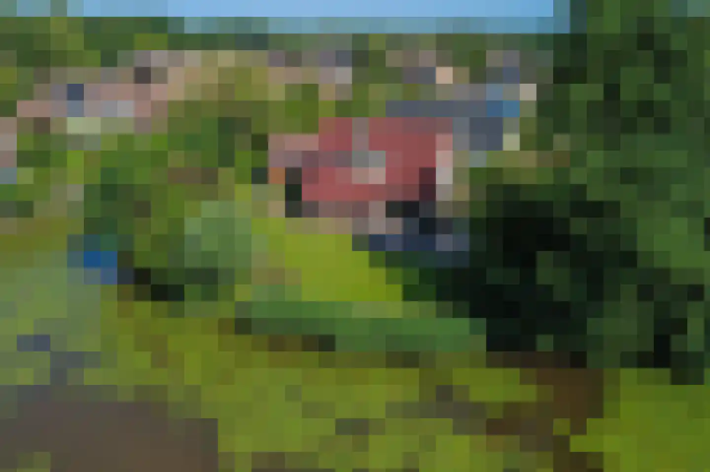 Nieuwe Gagels 35 Steenwijk thumbnail 7