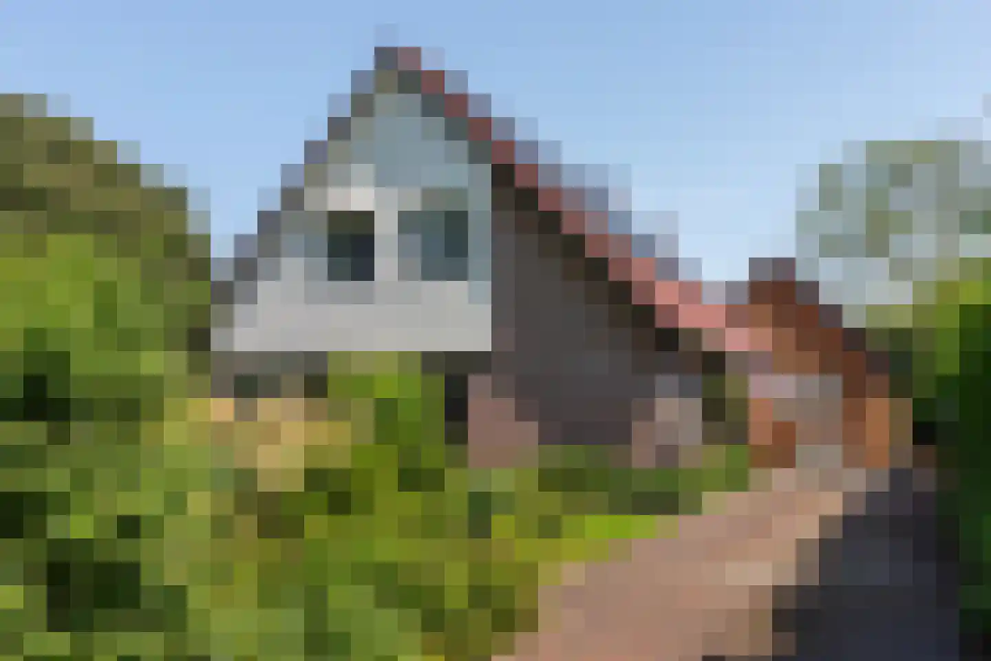 Nieuwe Gagels 35 Steenwijk thumbnail 8