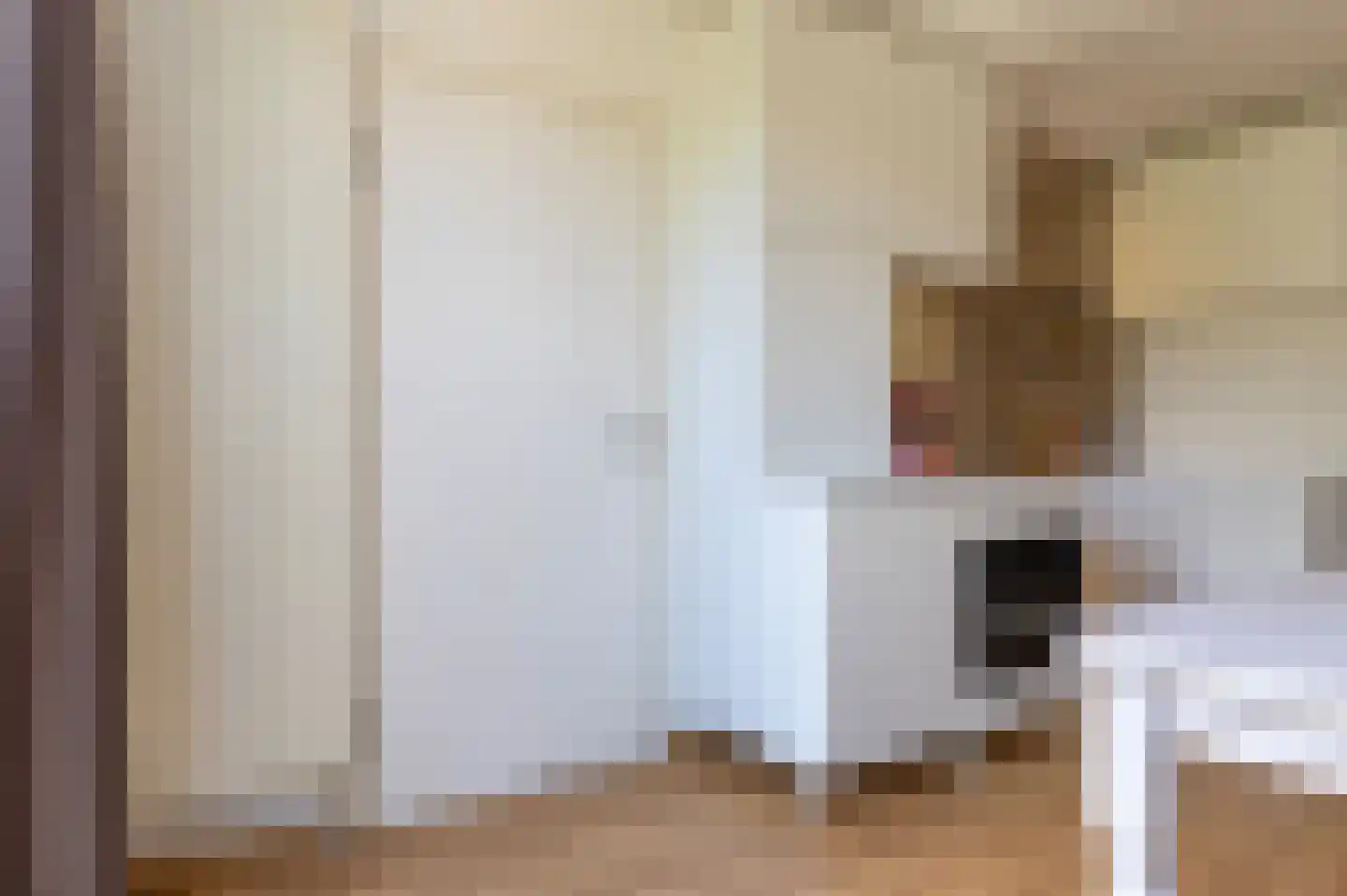Nieuwe Gagels 45 Steenwijk thumbnail 19