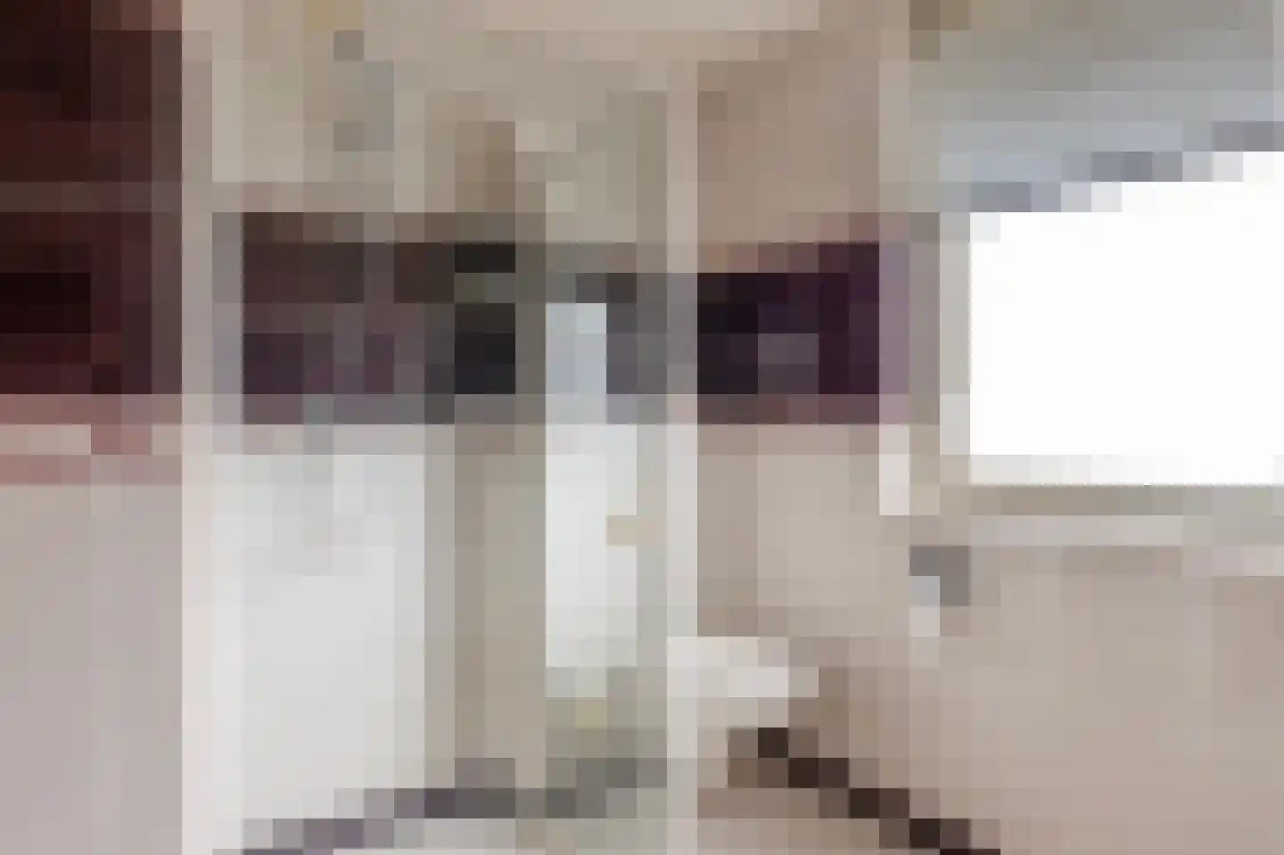 Nieuwe Gagels 45 Steenwijk thumbnail 32