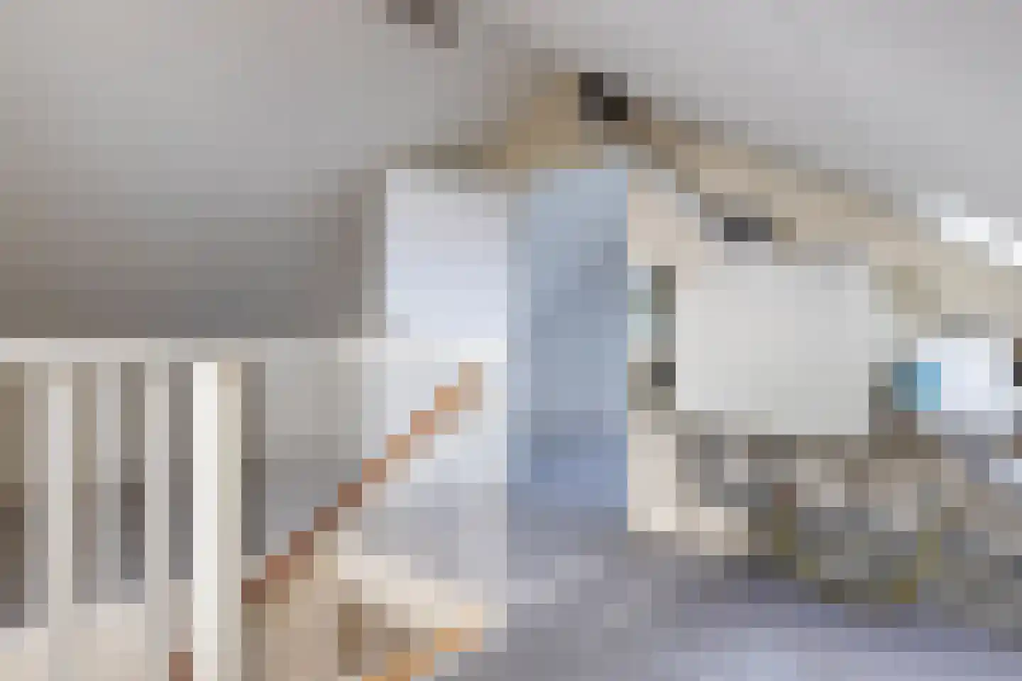 Nieuwe Gagels 45 Steenwijk thumbnail 34