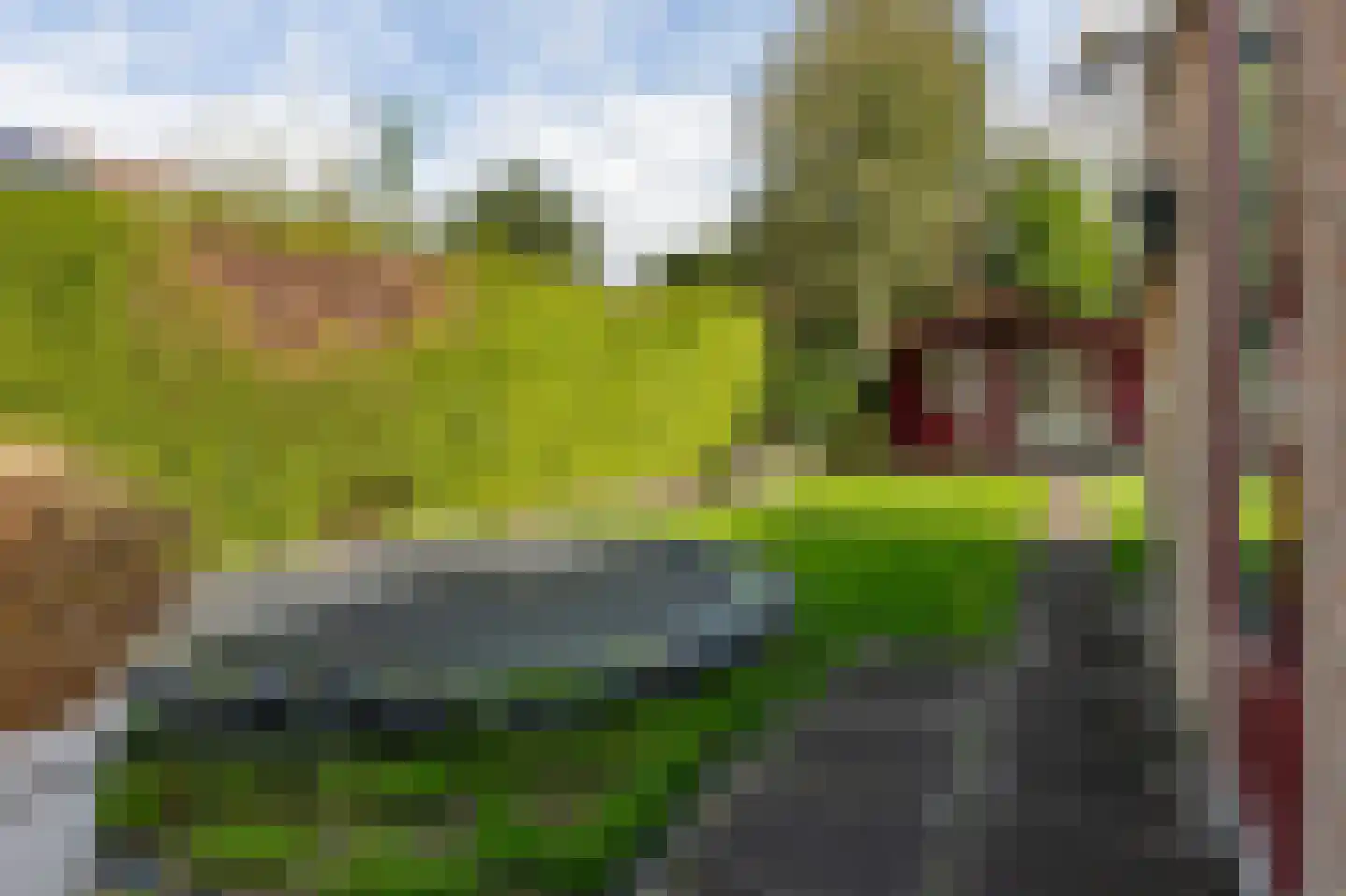 Nieuwe Gagels 45 Steenwijk thumbnail 41