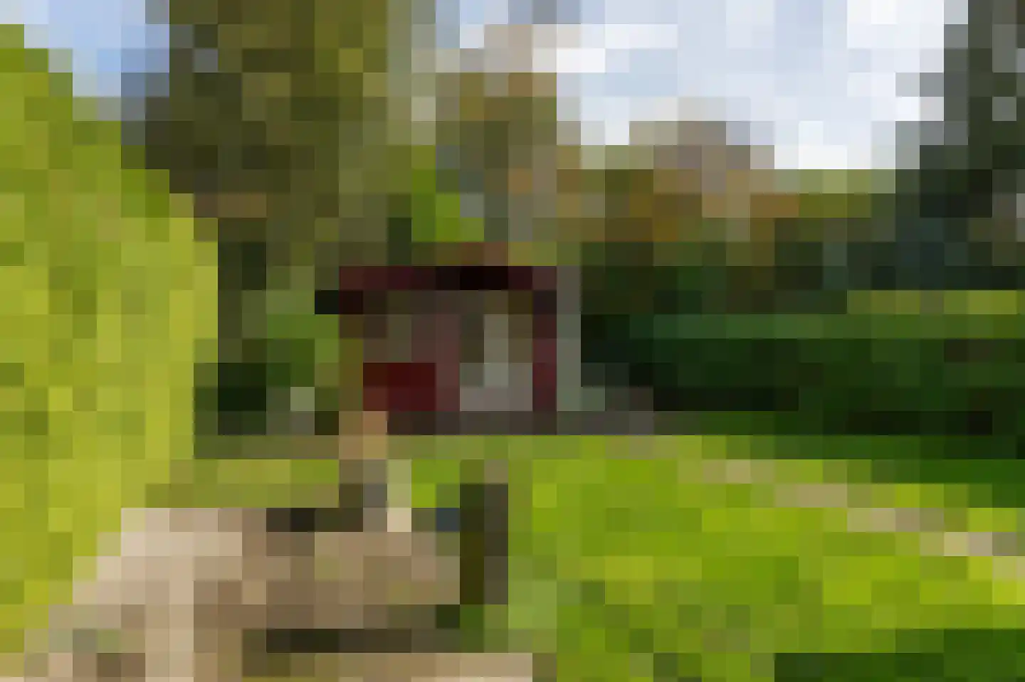 Nieuwe Gagels 45 Steenwijk thumbnail 42