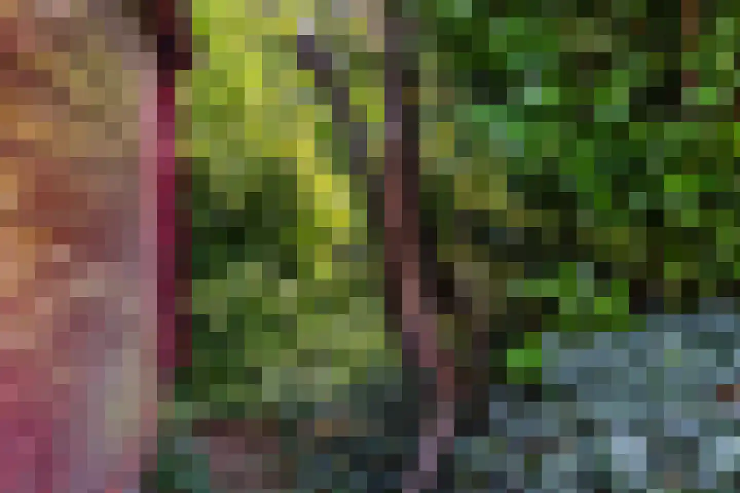 Nieuwe Gagels 45 Steenwijk thumbnail 46