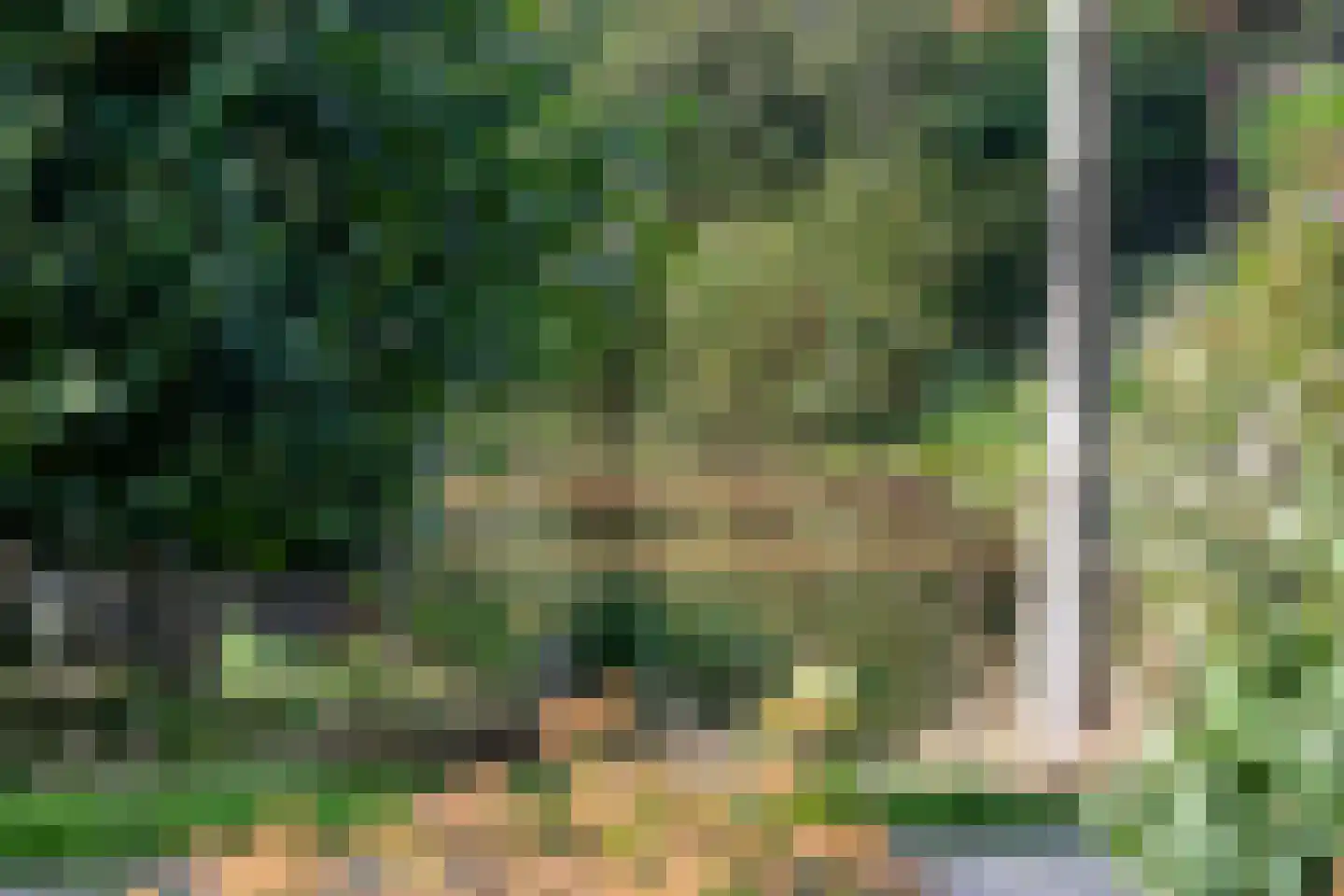Nieuwe Gagels 45 Steenwijk thumbnail 9