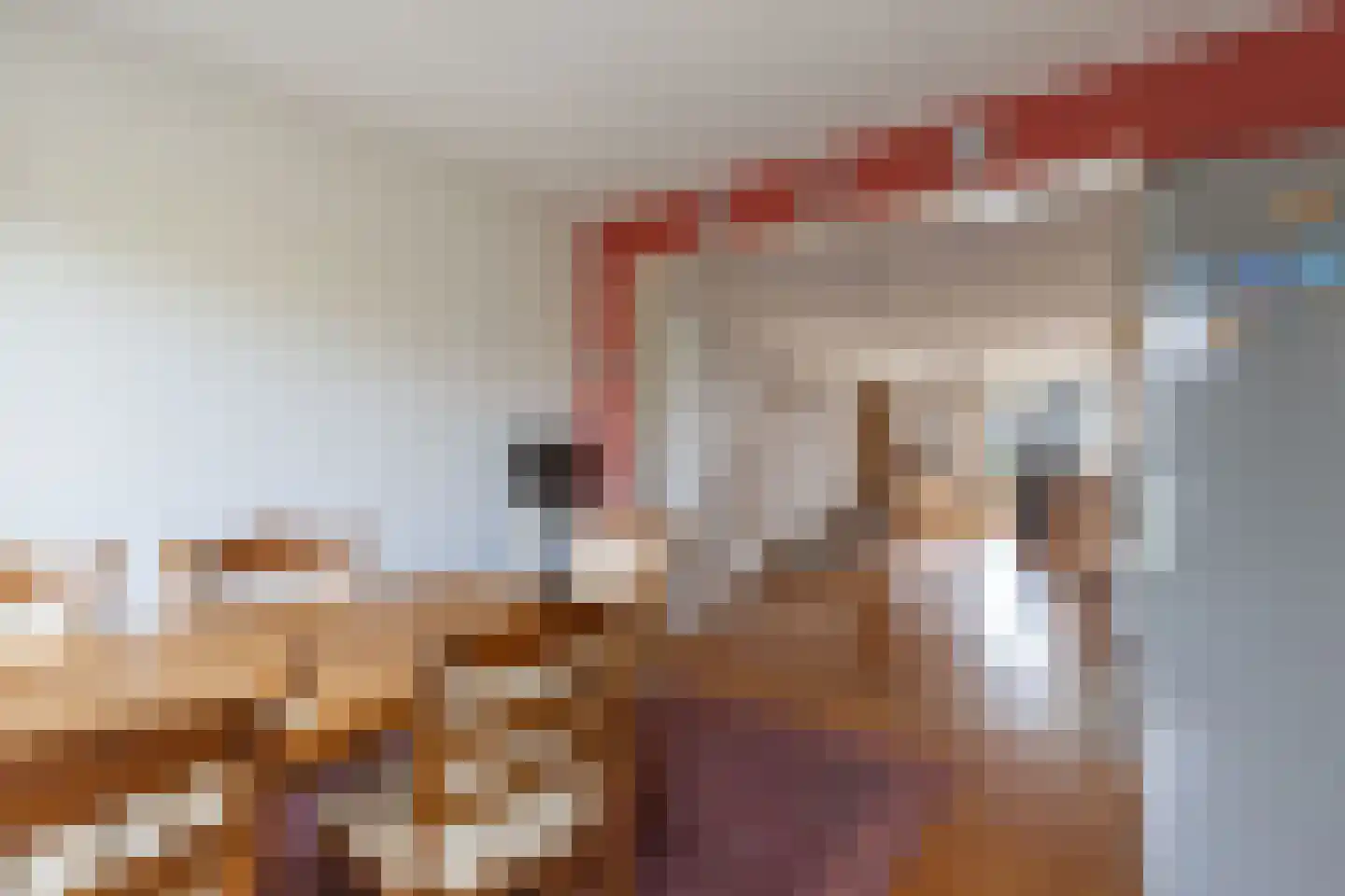 Nieuwe Gagels 51 A Steenwijk thumbnail 13
