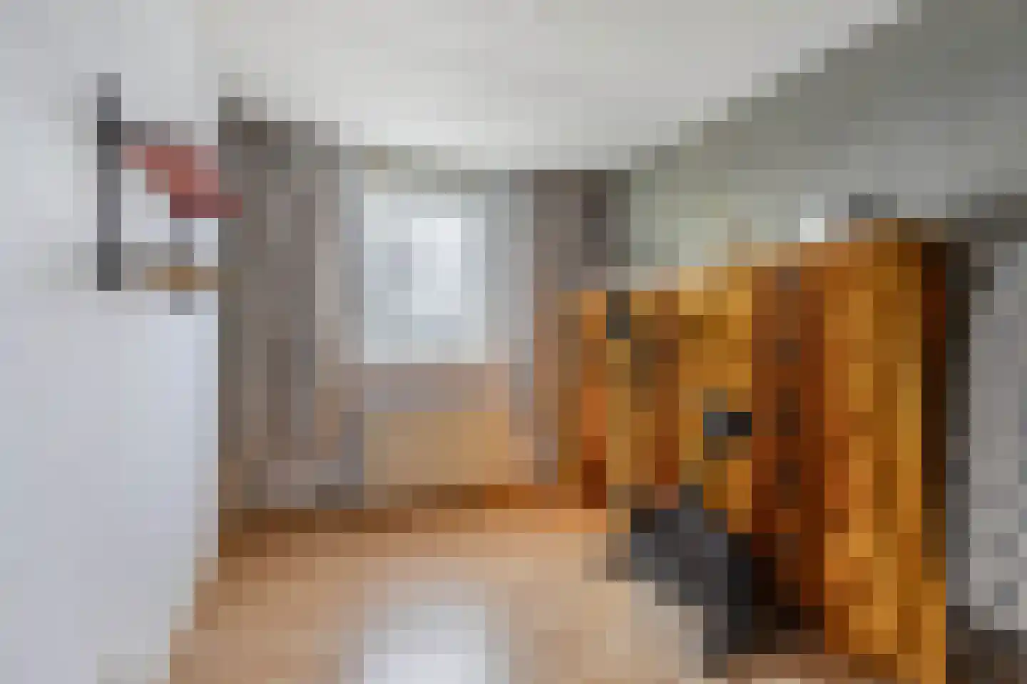 Nieuwe Gagels 51 A Steenwijk thumbnail 23