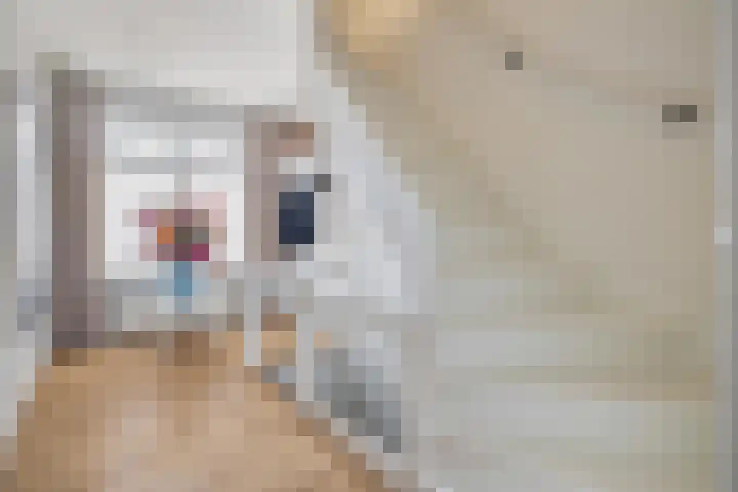 Nieuwe Ginnekenstraat 19 II Breda thumbnail 13