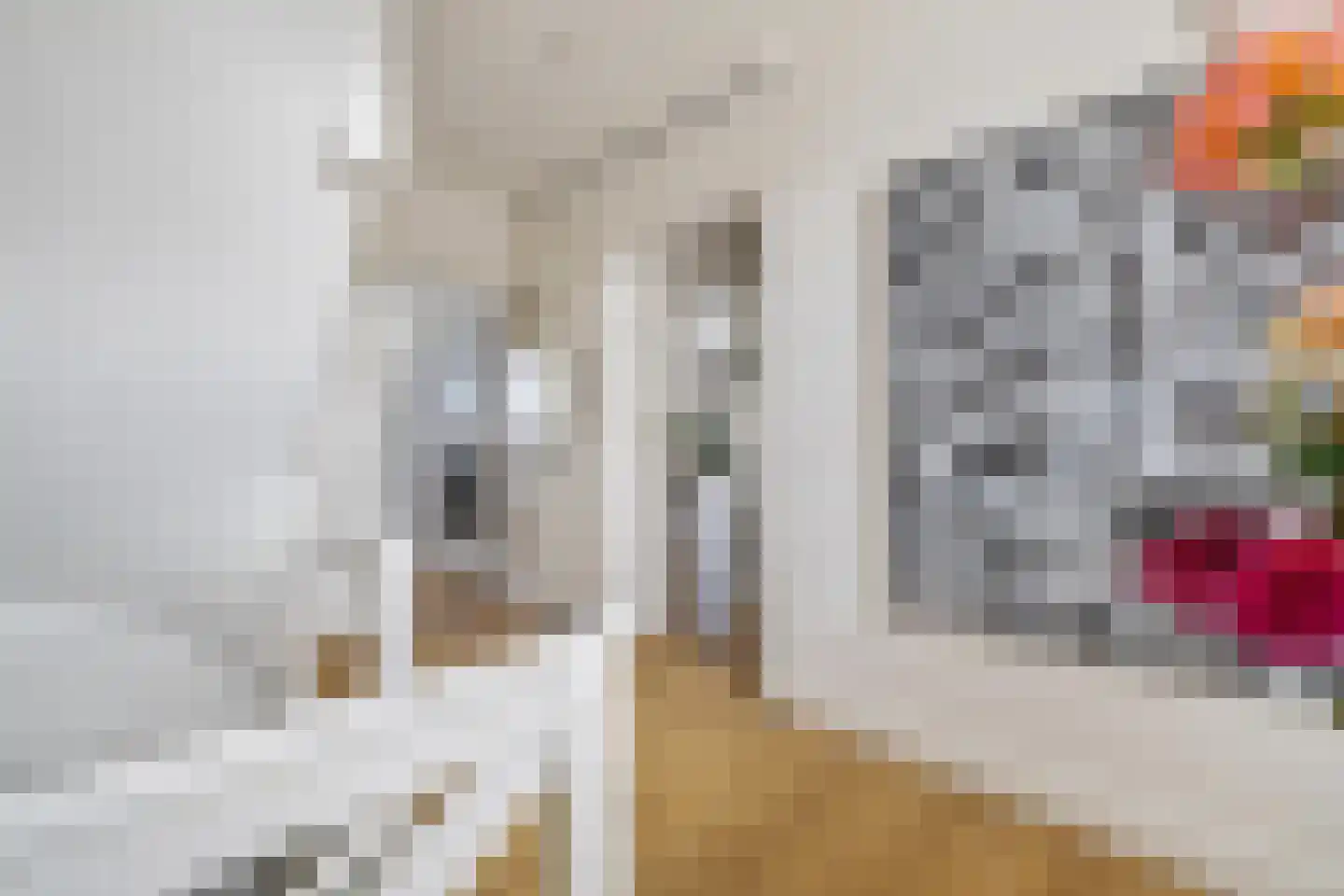 Nieuwe Ginnekenstraat 19 II Breda thumbnail 14