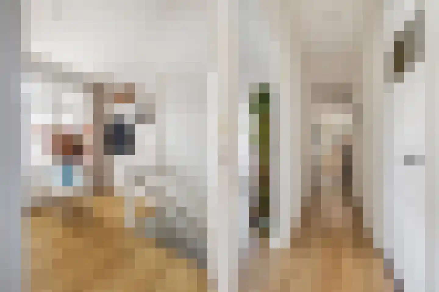 Nieuwe Ginnekenstraat 19 II Breda thumbnail 15