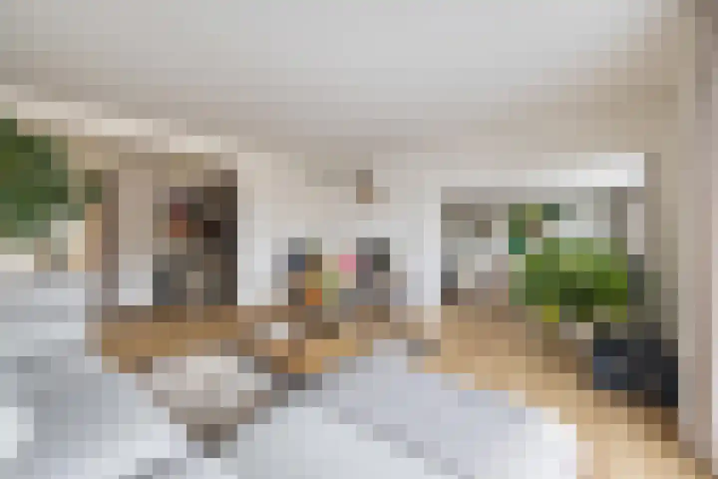 Nieuwe Ginnekenstraat 19 II Breda thumbnail 20
