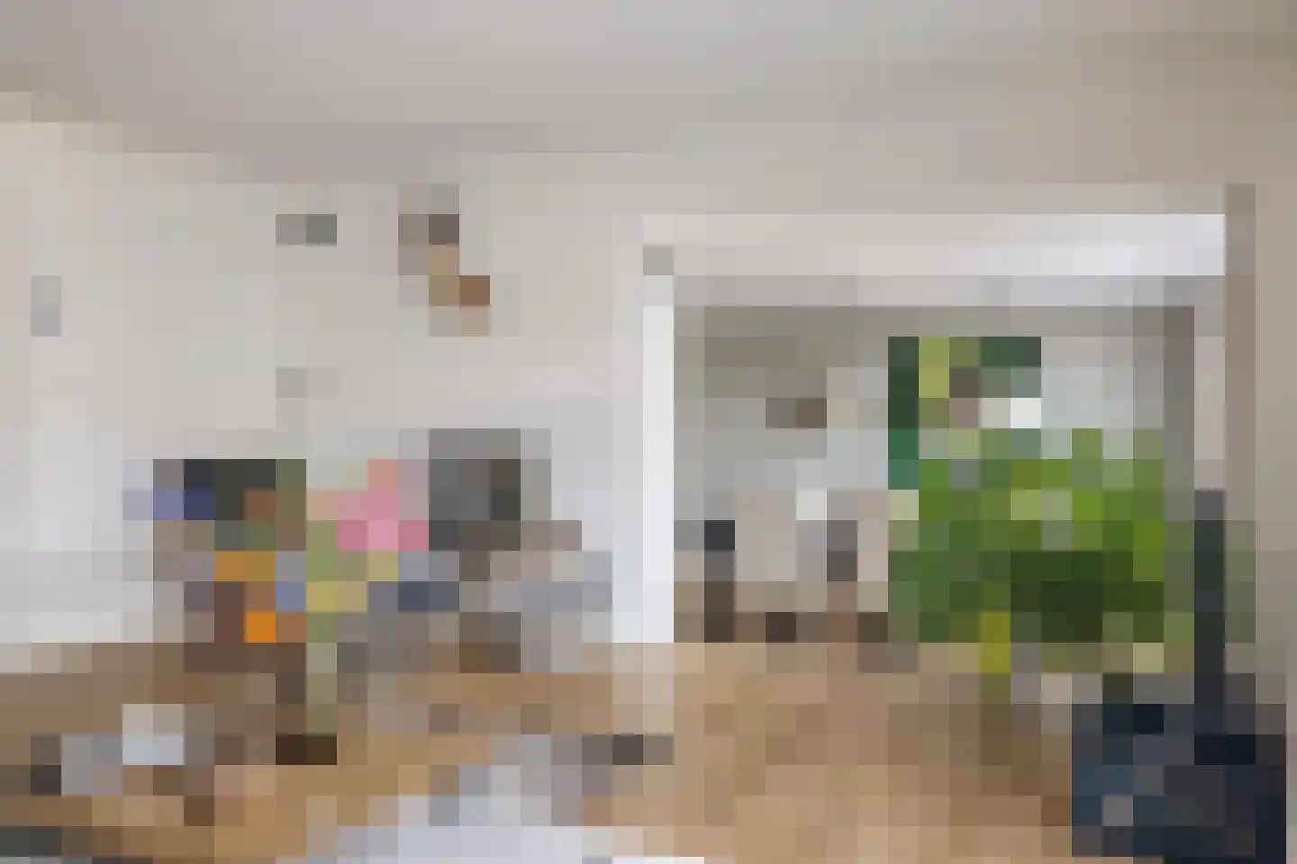 Nieuwe Ginnekenstraat 19 II Breda thumbnail 21