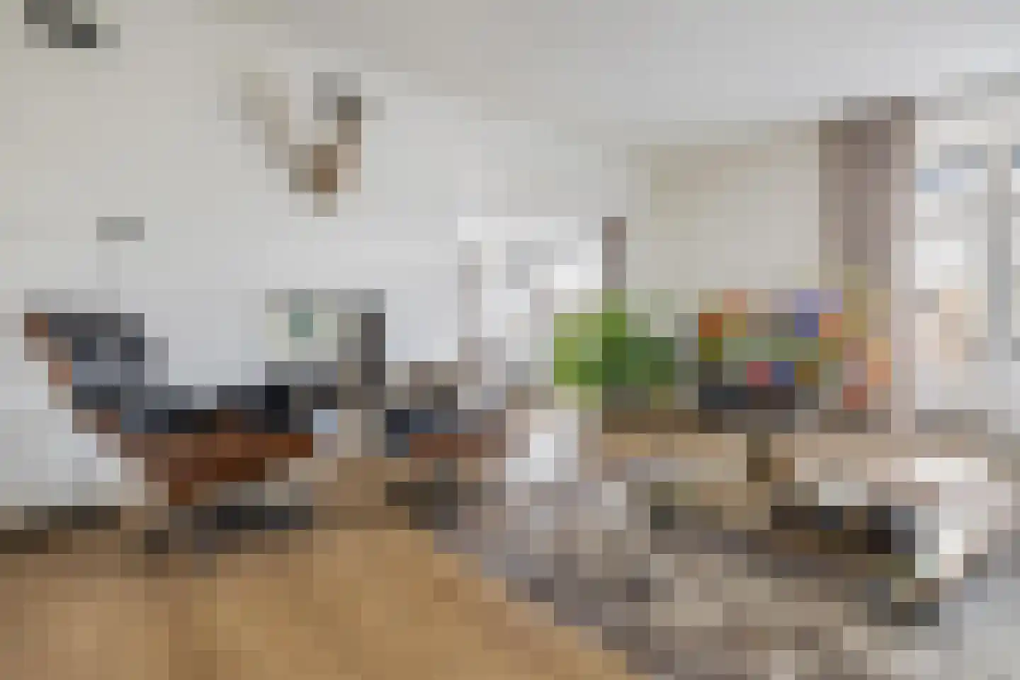 Nieuwe Ginnekenstraat 19 II Breda thumbnail 22
