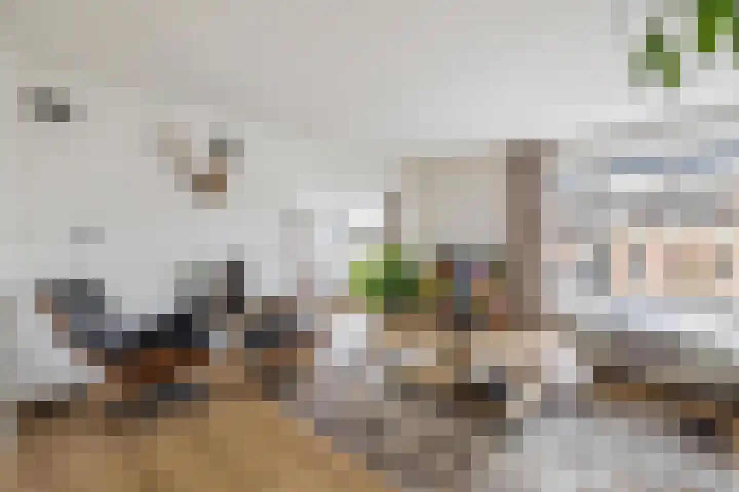 Nieuwe Ginnekenstraat 19 II Breda thumbnail 23
