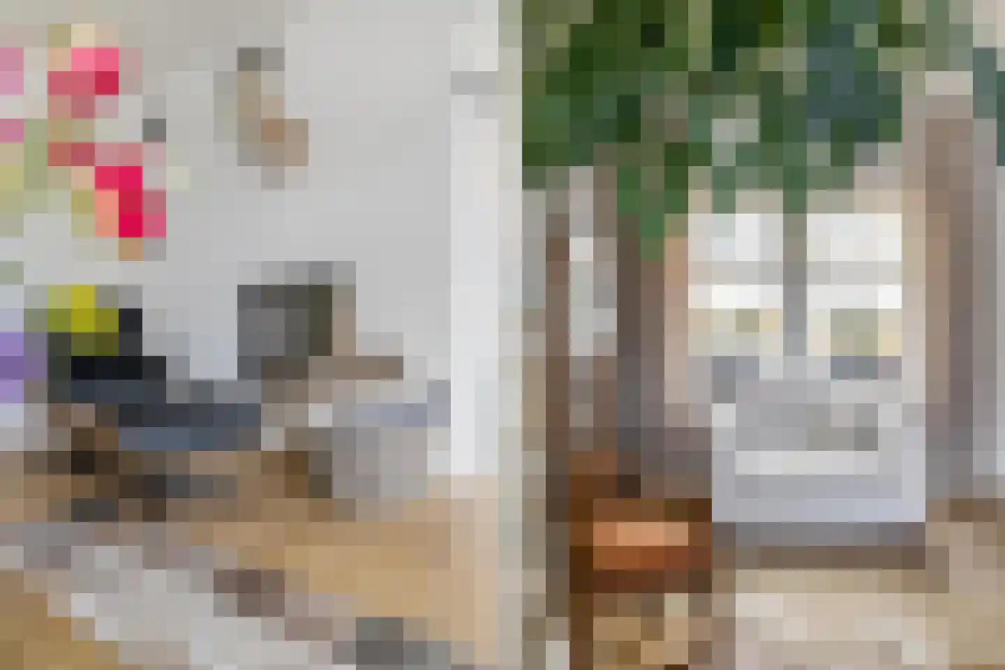 Nieuwe Ginnekenstraat 19 II Breda thumbnail 25