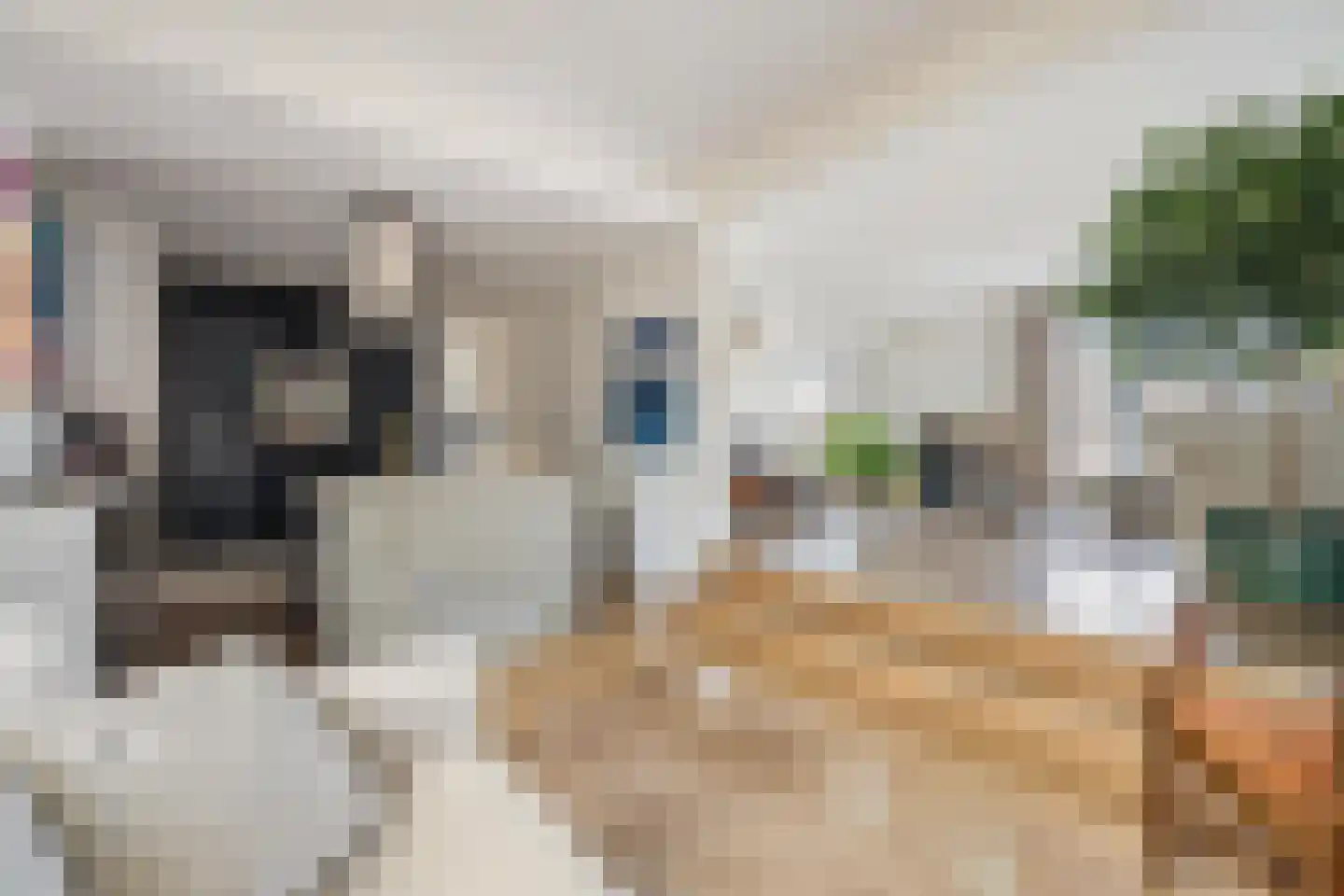 Nieuwe Ginnekenstraat 19 II Breda thumbnail 27