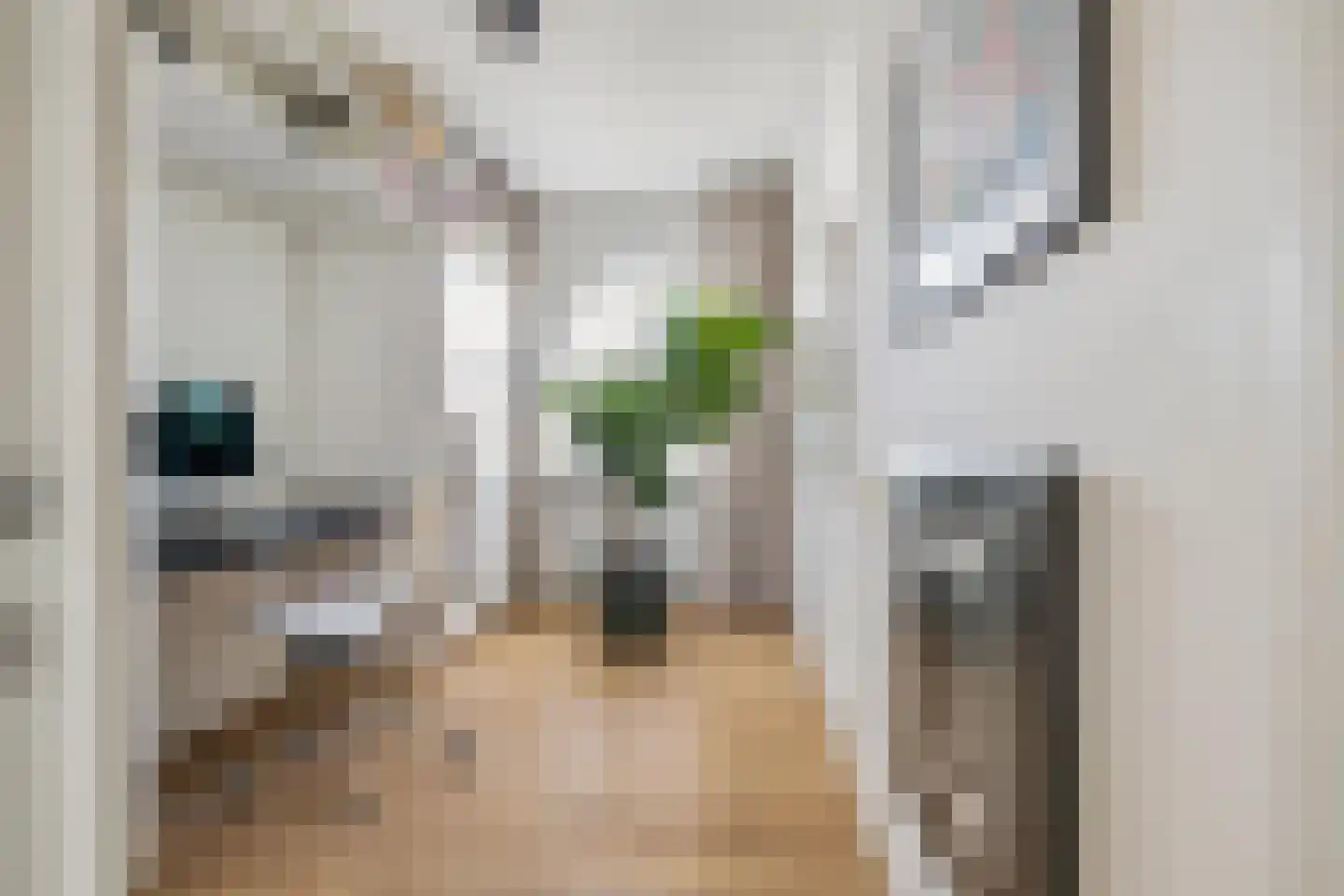 Nieuwe Ginnekenstraat 19 II Breda thumbnail 31