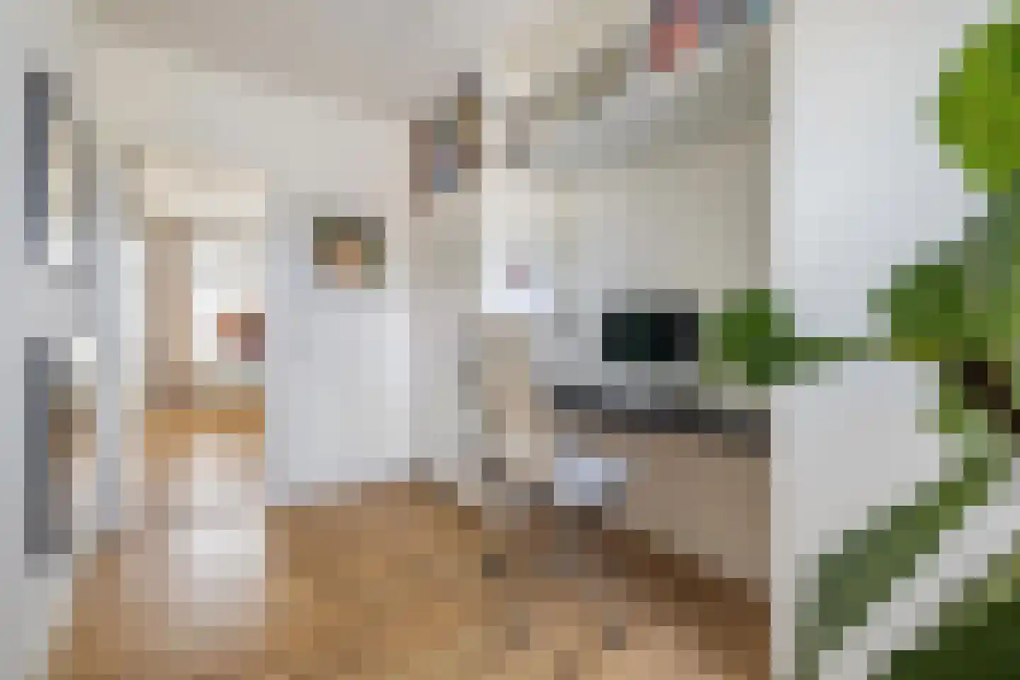 Nieuwe Ginnekenstraat 19 II Breda thumbnail 32