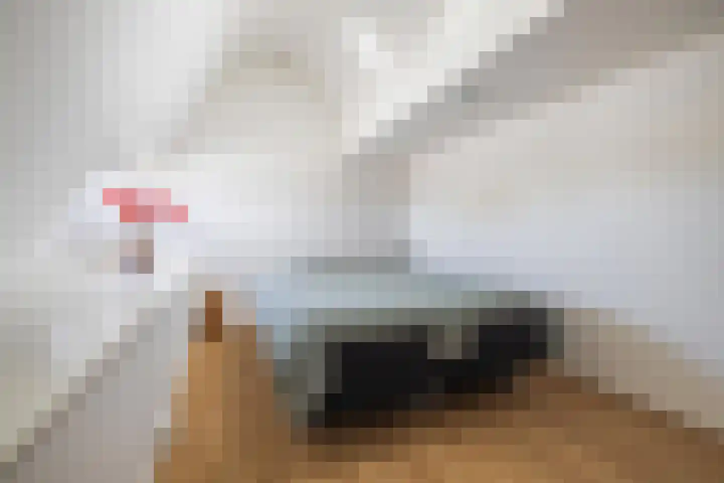 Nieuwe Ginnekenstraat 19 II Breda thumbnail 36