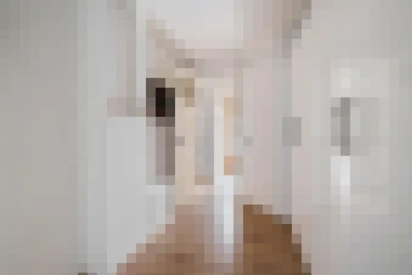 Nieuwe Ginnekenstraat 19 II Breda thumbnail 40