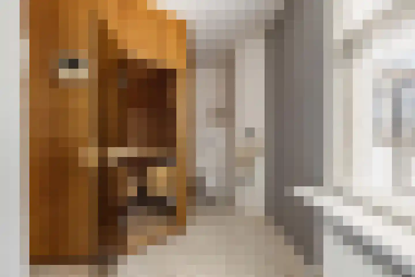 Nieuwe Ginnekenstraat 19 II Breda thumbnail 47
