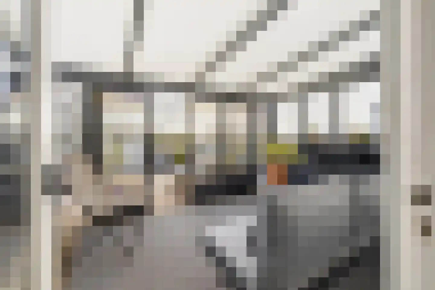 Nieuwe Ginnekenstraat 19 II Breda thumbnail 51