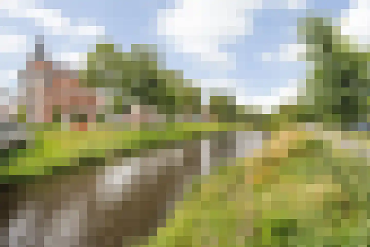 Nieuwe Ginnekenstraat 19 II Breda thumbnail 63