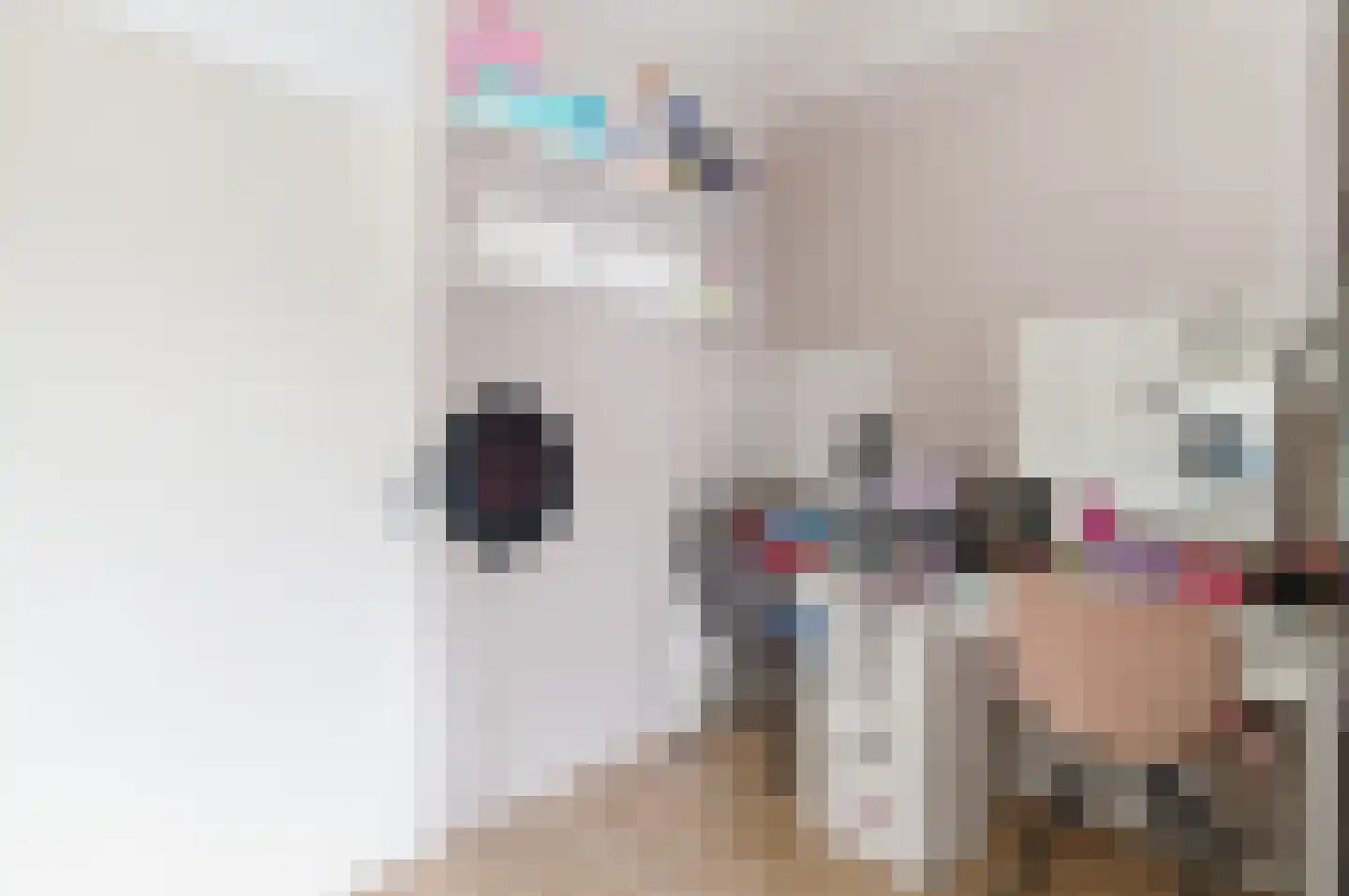 Nieuwe Gouw 106 Landsmeer thumbnail 10